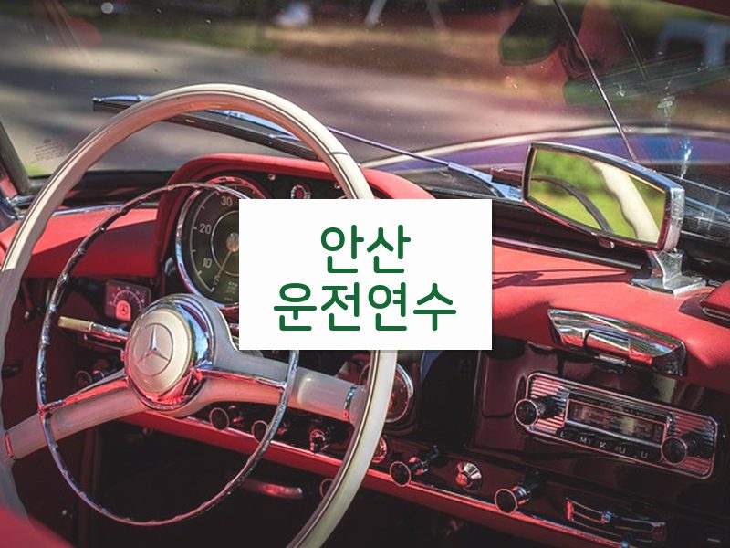 안산운전연수 후기