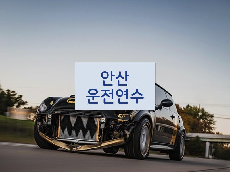 안산운전연수 후기
