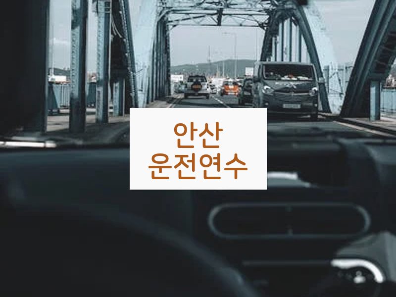 안산운전연수 후기