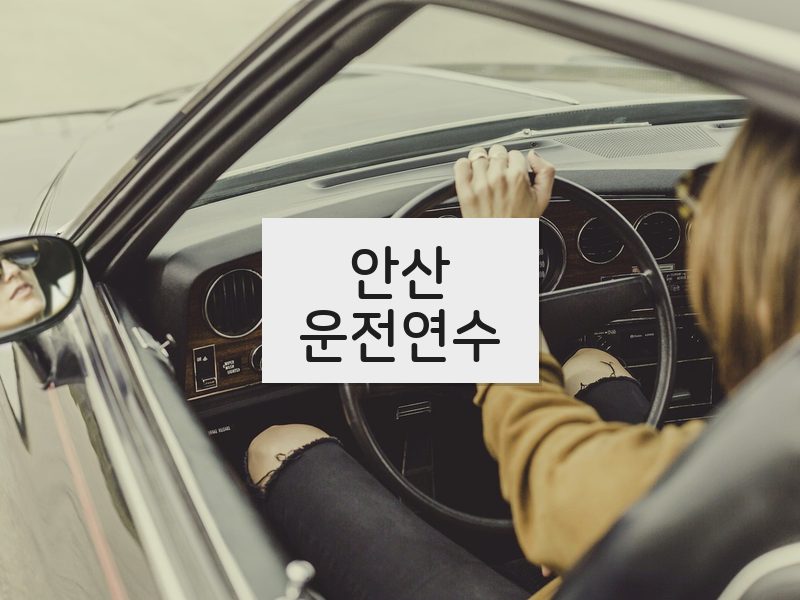 안산운전연수 후기