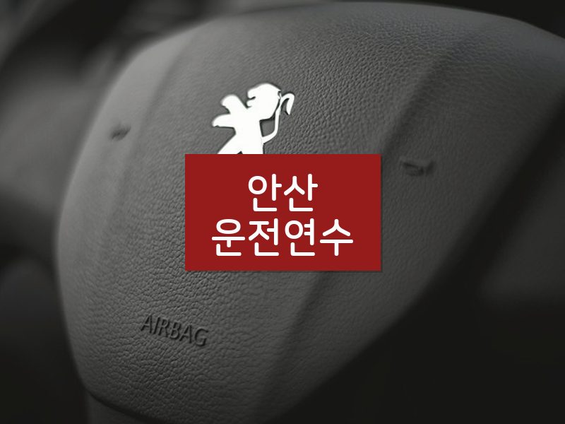 안산운전연수 후기