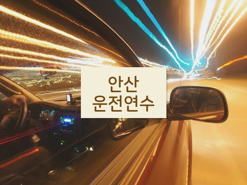 안산운전연수 후기