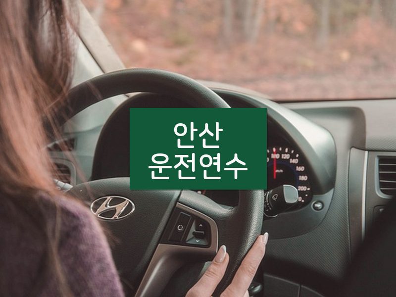 안산운전연수 후기