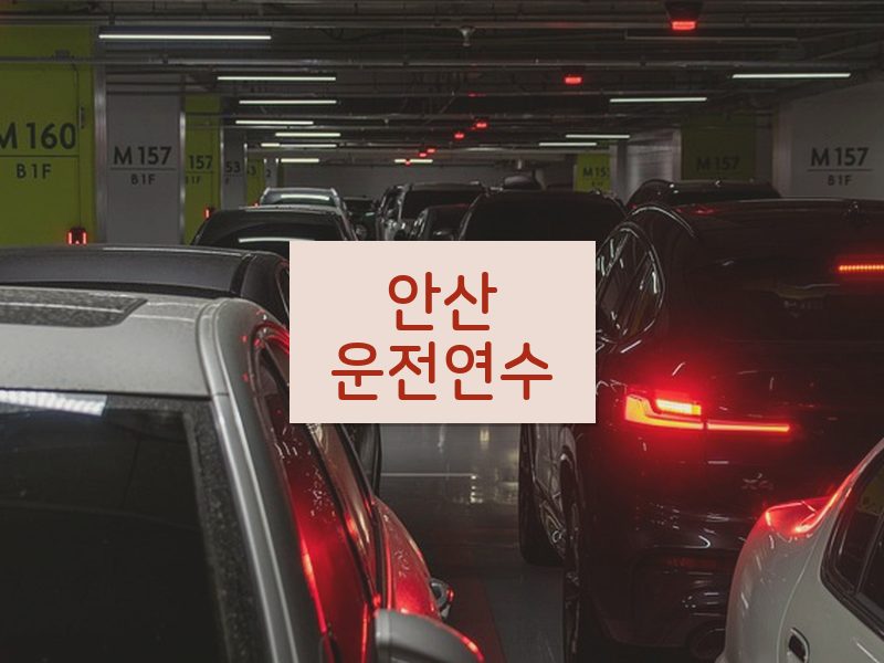 안산운전연수 후기