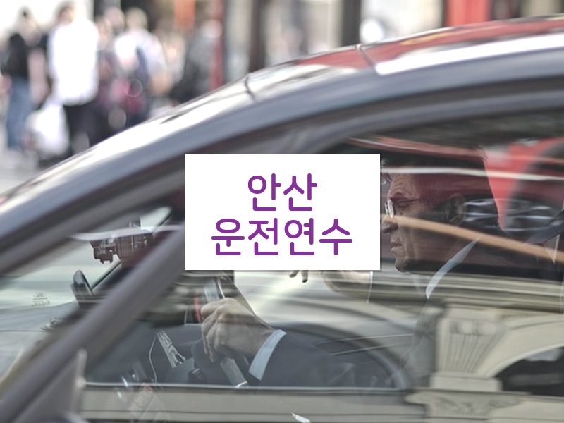 안산운전연수 후기