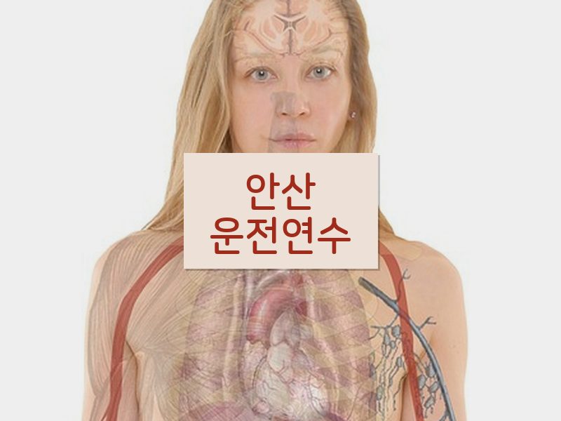 안산운전연수 후기