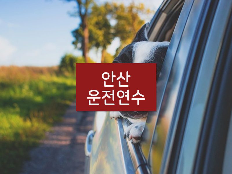 안산운전연수 후기