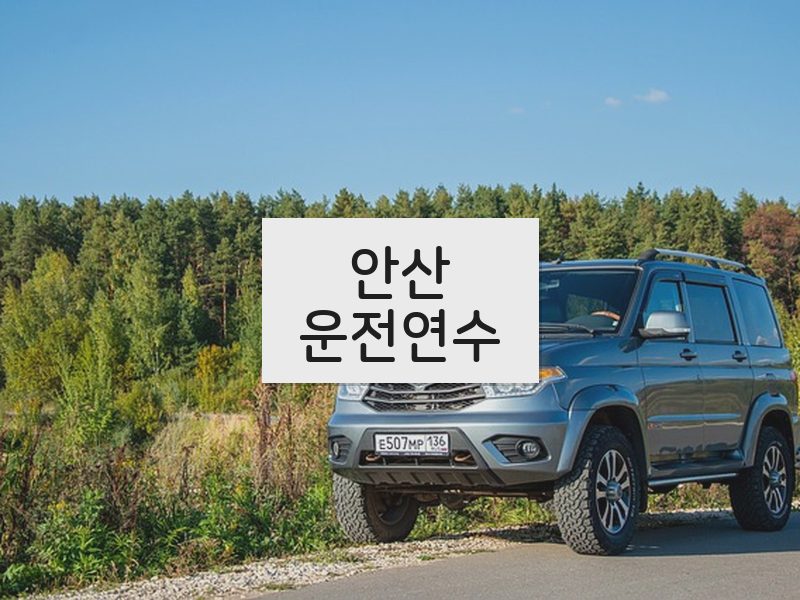 안산운전연수 후기