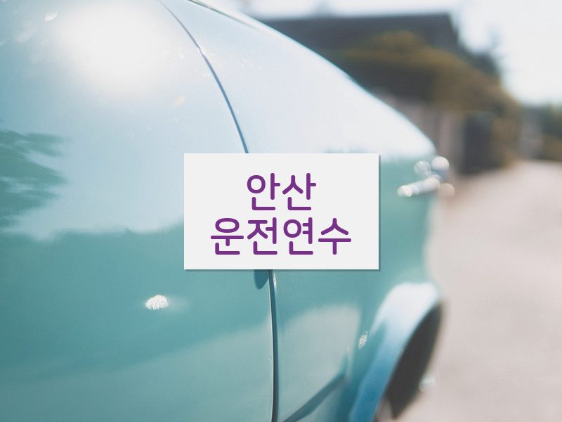 안산운전연수 후기