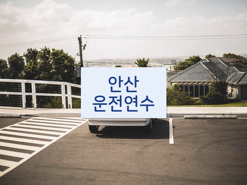 안산운전연수 후기