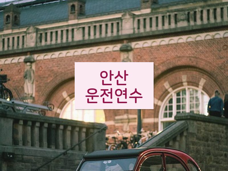 안산운전연수 후기