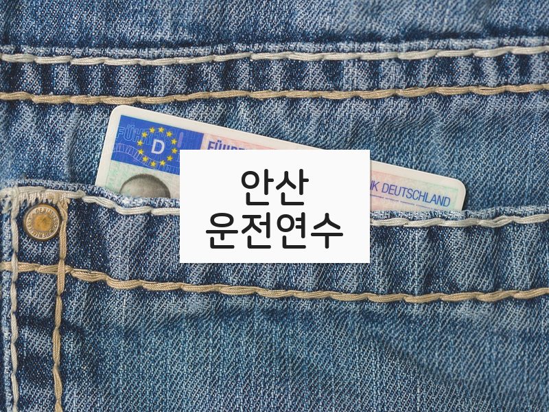 안산운전연수 후기
