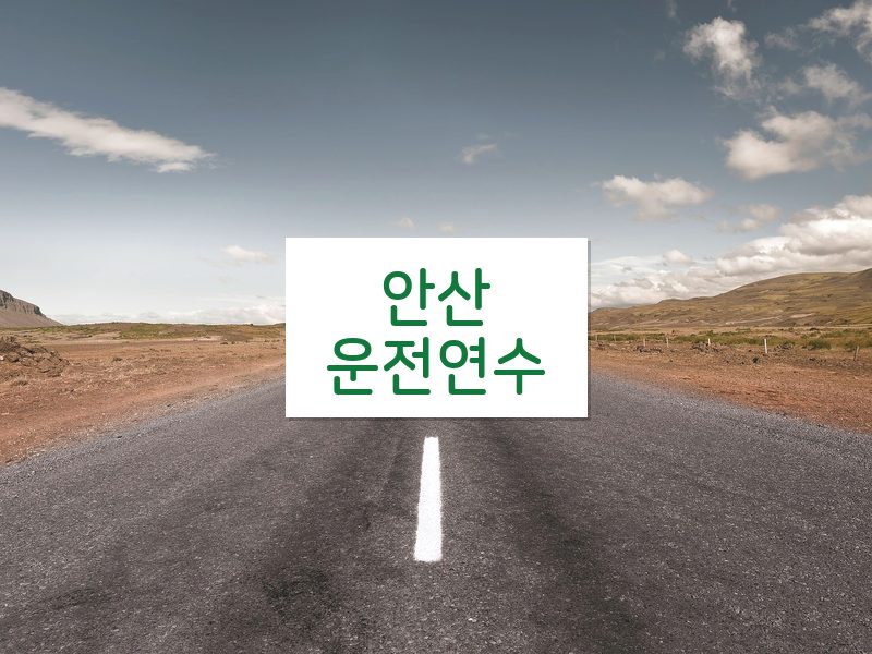 안산운전연수 후기