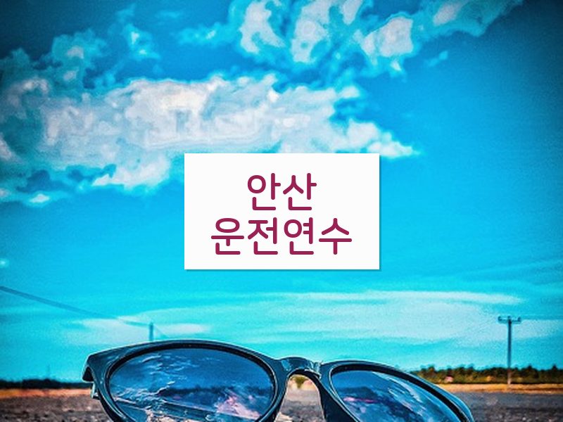 안산운전연수 후기