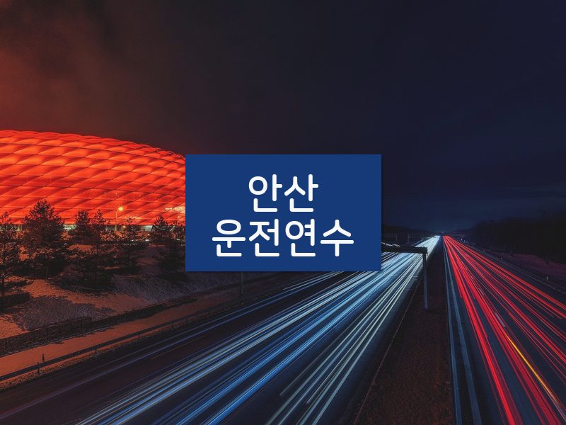 안산운전연수 후기
