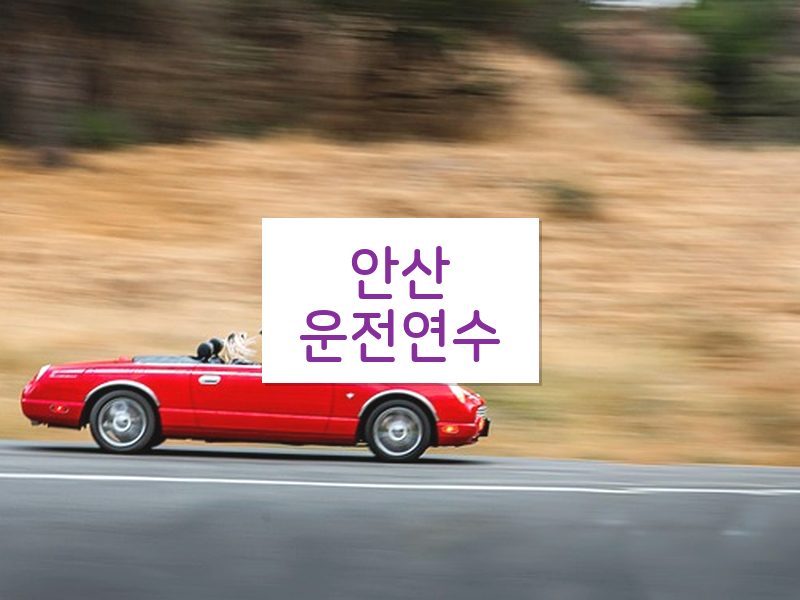 안산운전연수 후기