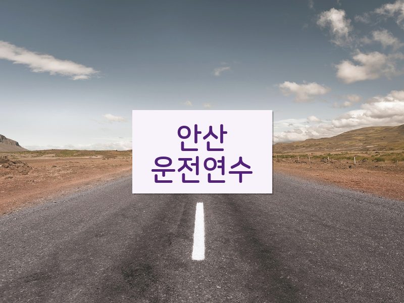 안산운전연수 후기
