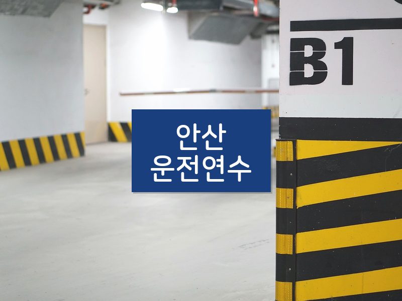 안산운전연수 후기