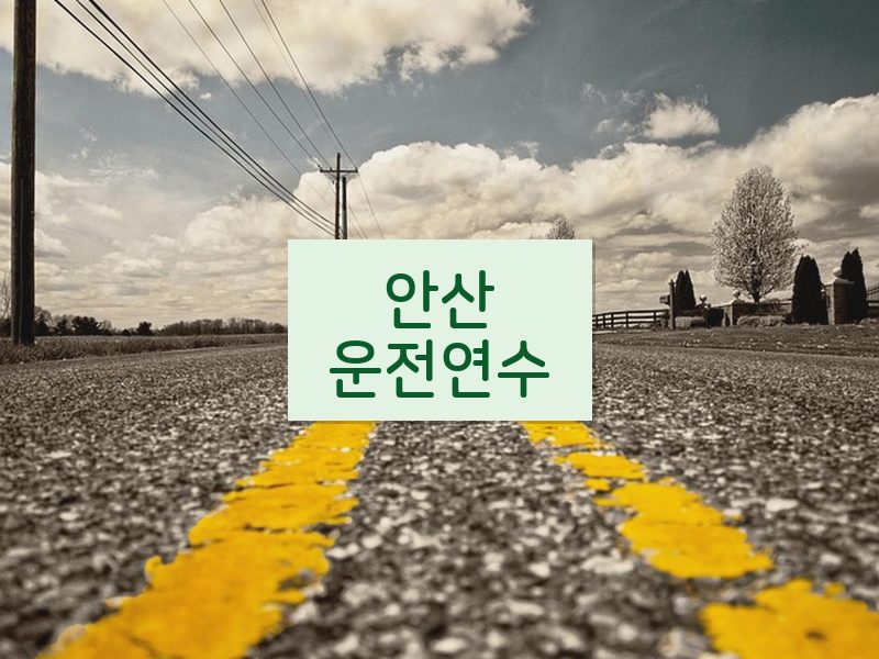 안산운전연수 후기
