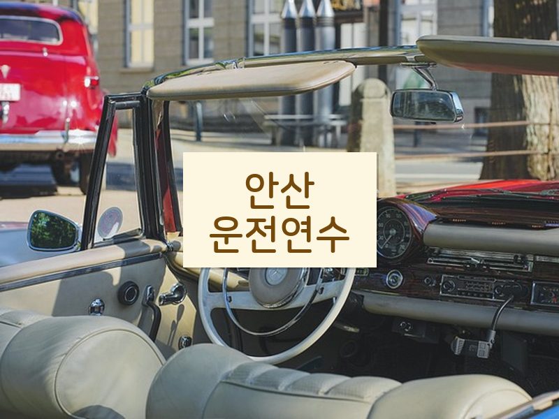 안산운전연수 후기