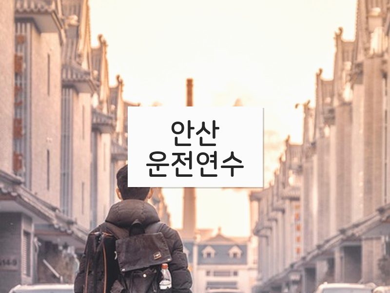 안산운전연수 후기