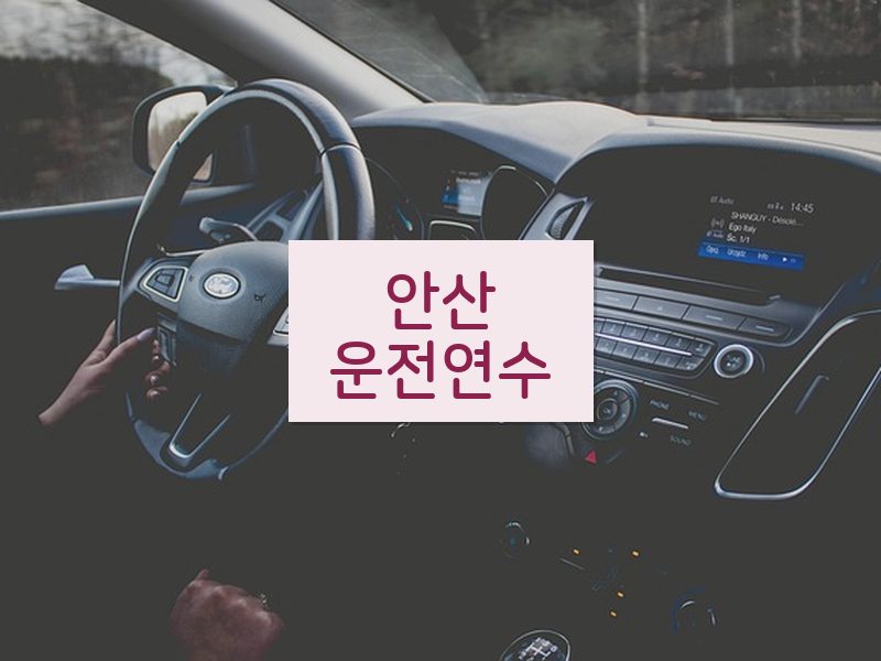 안산운전연수 후기