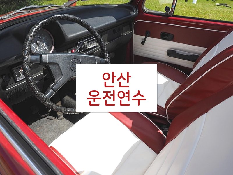 안산운전연수 후기