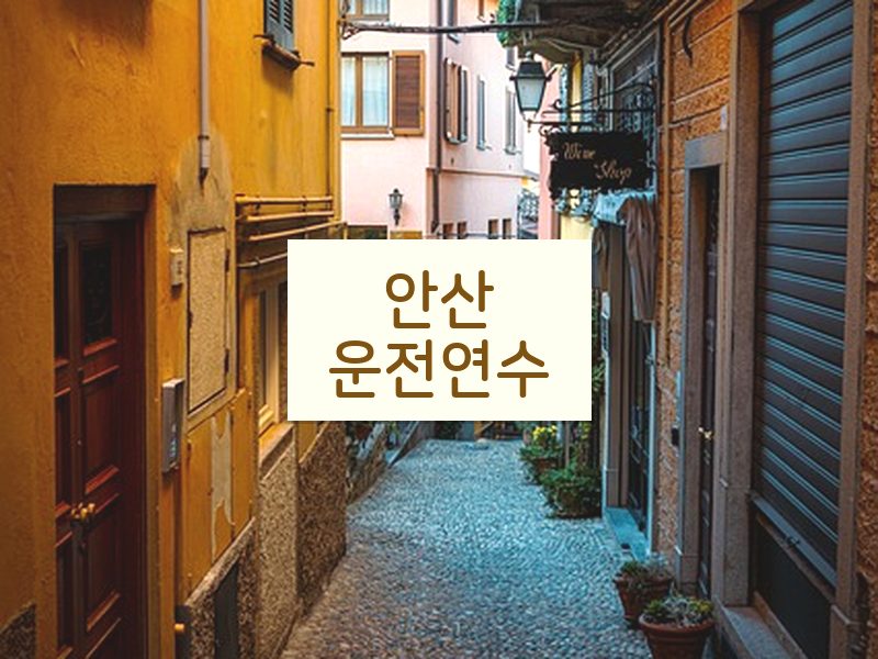 안산운전연수 후기