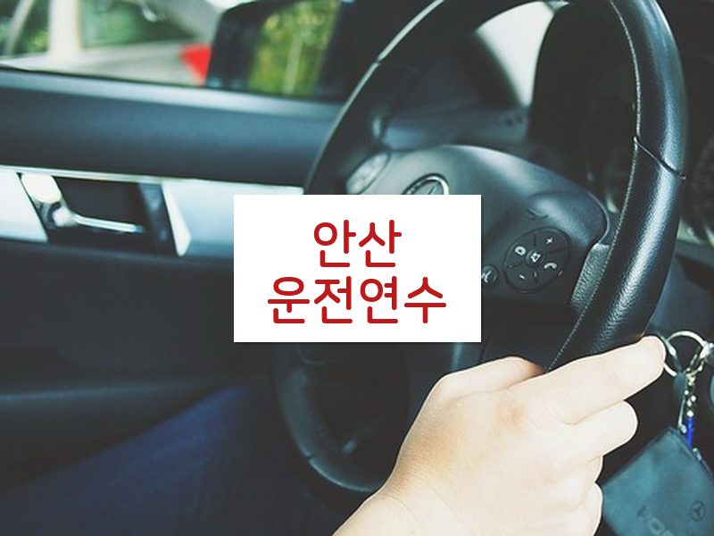 안산운전연수 후기
