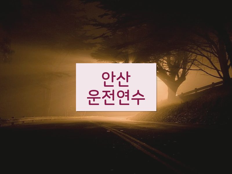 안산운전연수 후기