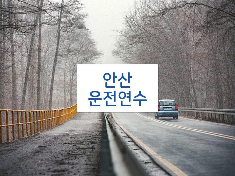 안산운전연수 후기