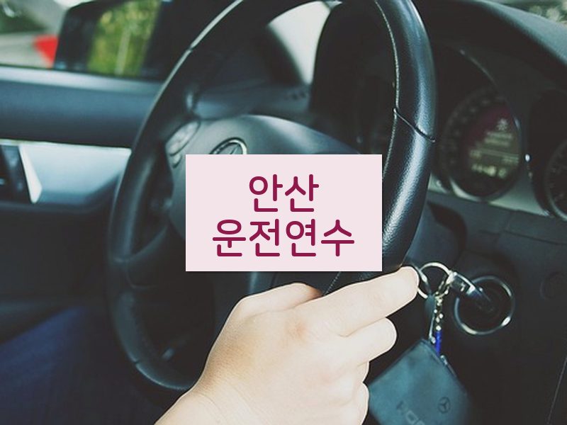 안산운전연수 후기