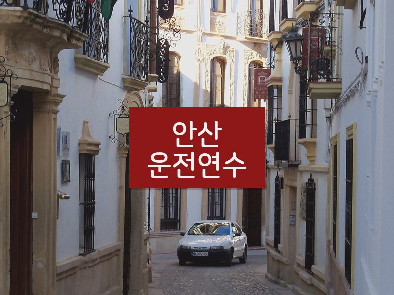 안산운전연수 후기