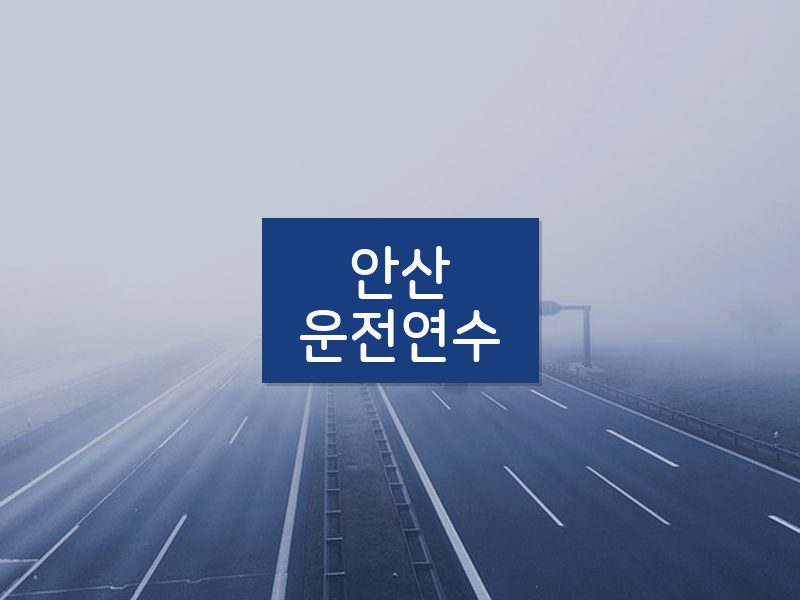 안산운전연수 후기