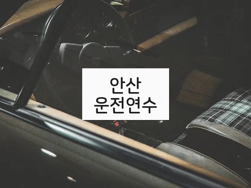 안산운전연수 후기