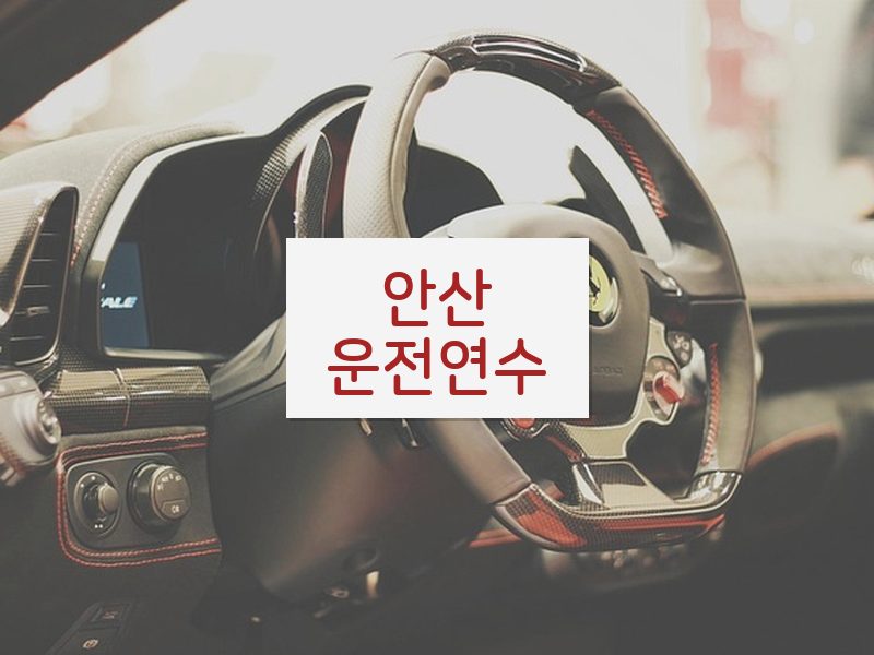 안산운전연수 후기