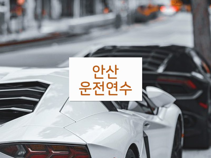 안산운전연수 후기