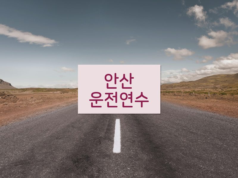 안산운전연수 후기