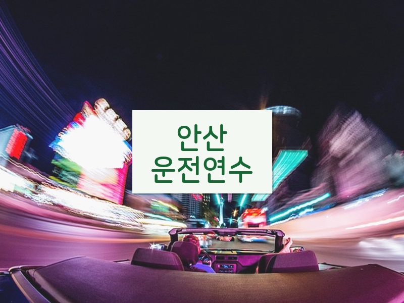 안산운전연수 후기
