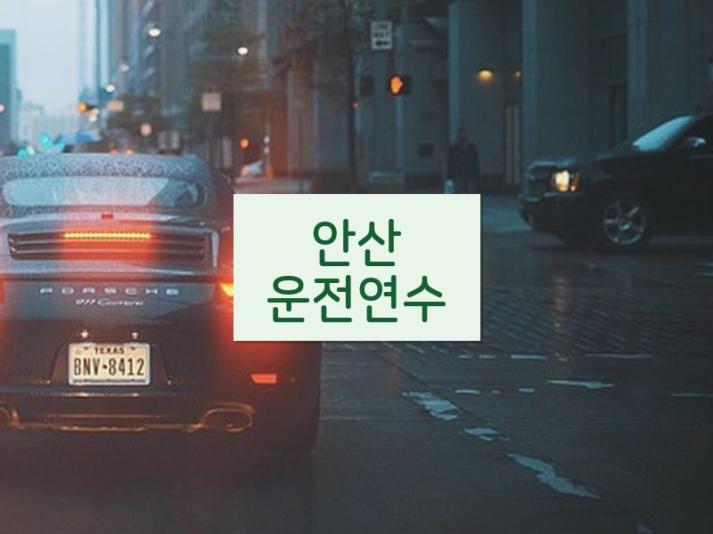 안산운전연수 후기