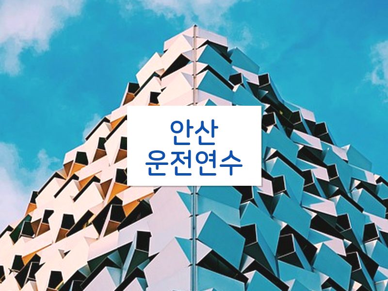 안산운전연수 후기