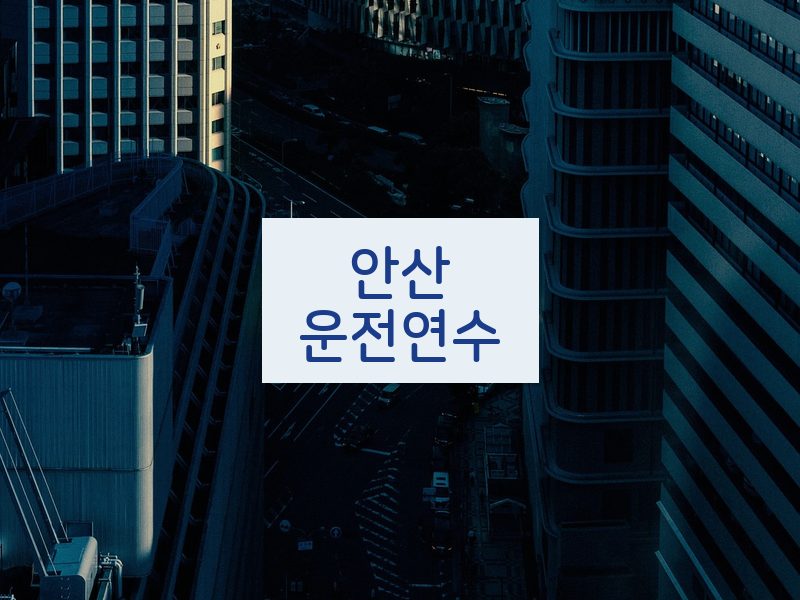 안산운전연수 후기