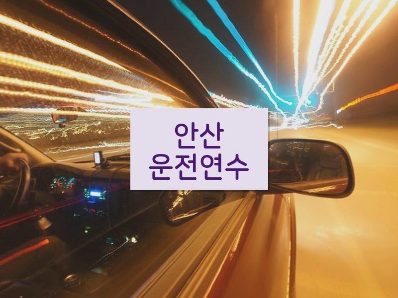 안산운전연수 후기