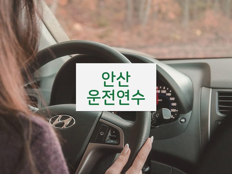 안산운전연수 후기