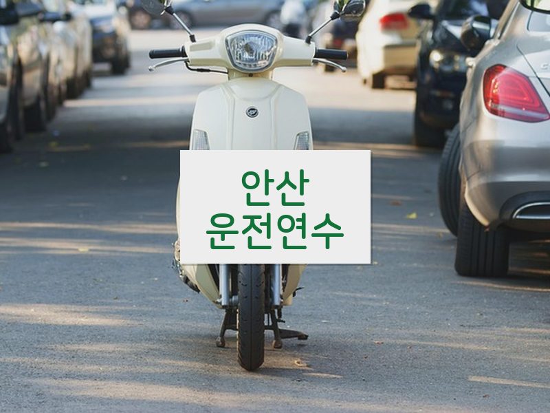안산운전연수 후기