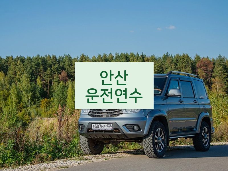 안산운전연수 후기