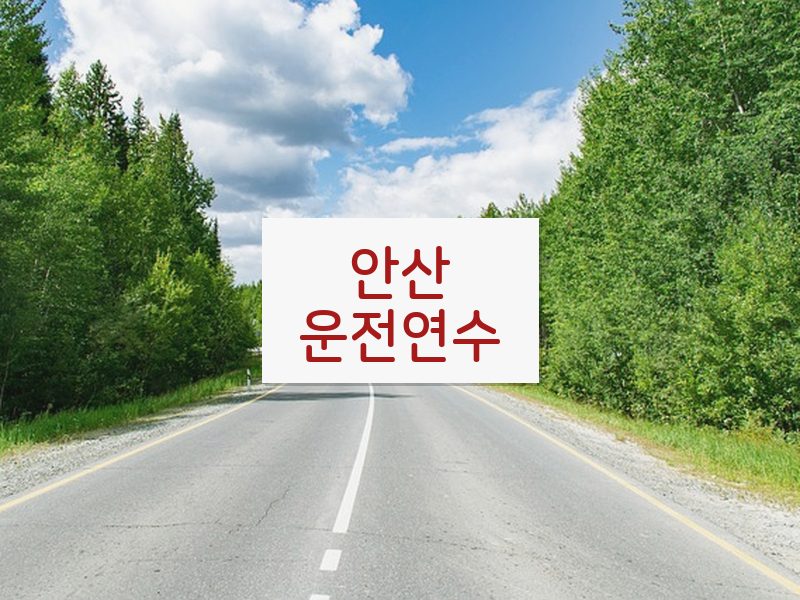 안산운전연수 후기