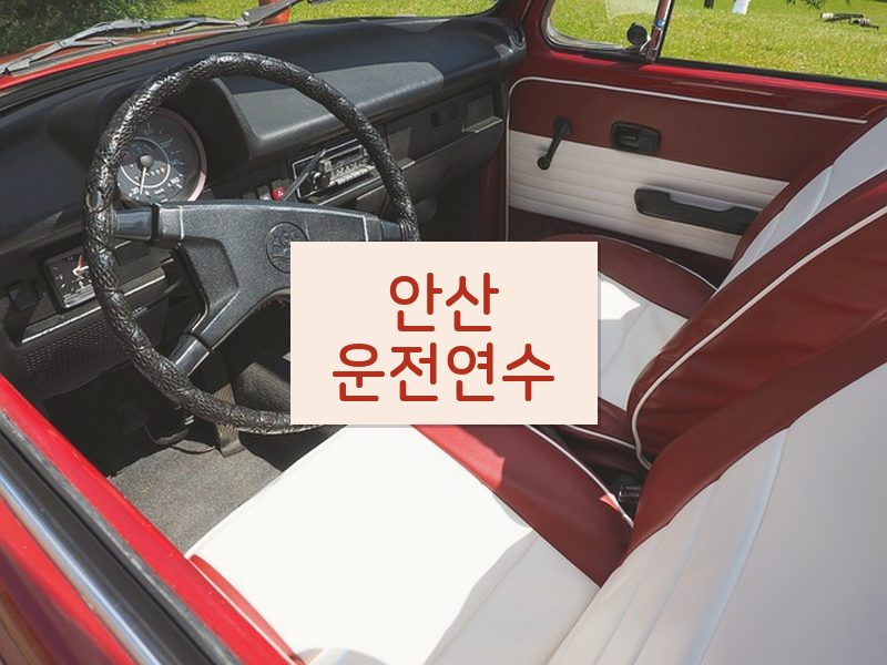안산운전연수 후기