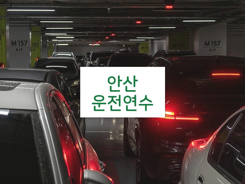 안산운전연수 후기