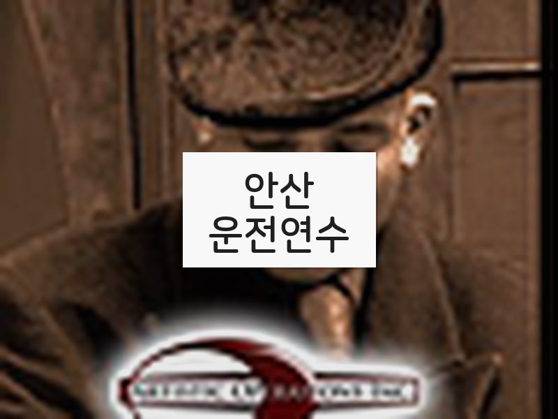 안산운전연수 후기